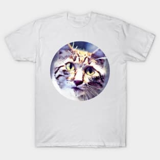 Catlike mycat, revolution for cats T-Shirt